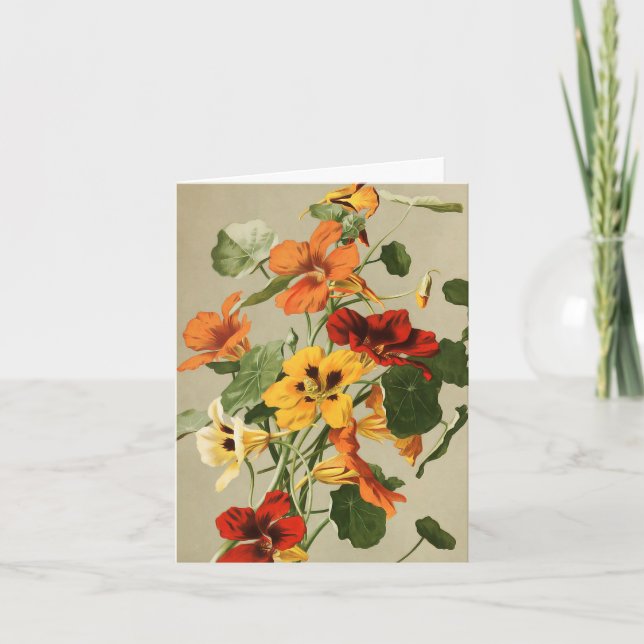 Vintage Nasturtiums Note Card Kort (Framsida)