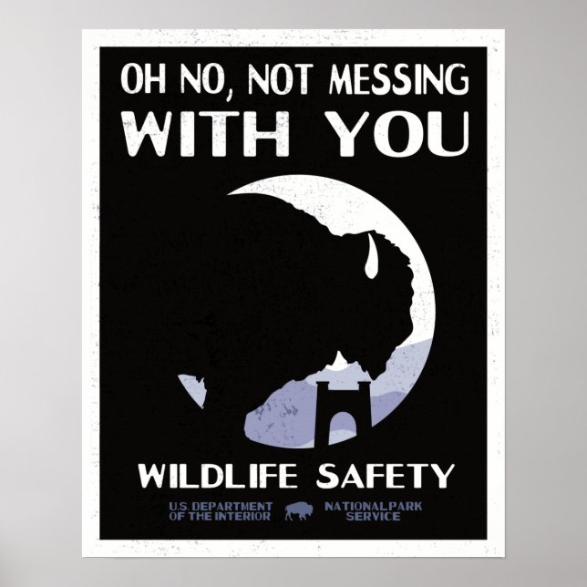 Vintage National Park Wildlife Safety Bison Poster (Framsidan)