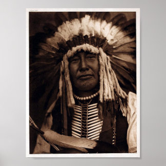 Vintage Native-American, Gult Uggla Poster