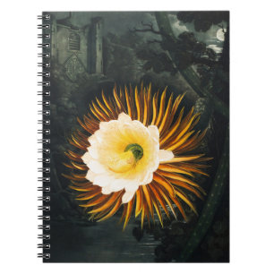 Vintage Nattblommande Cereus Gotisk Konst Anteckningsbok