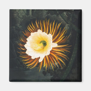Vintage Nattblommande Cereus Gotisk Konst Magnet