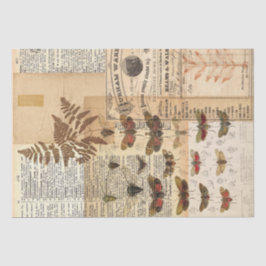 Vintage Nature Collation Tissue
