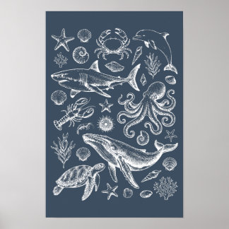 Vintage nautisk marinlivsillustration poster