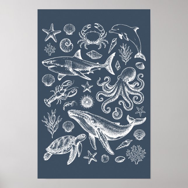 Vintage nautisk marinlivsillustration poster (Framsidan)