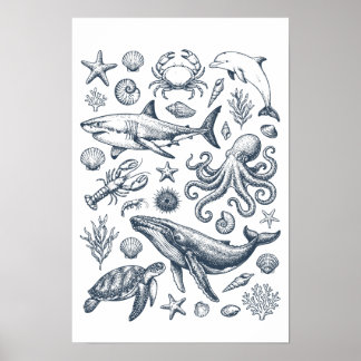 Vintage nautisk marinlivsillustration poster