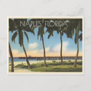 Vintage Neapel, Florida-vy över bukt Vykort