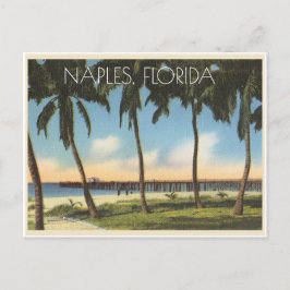 Vintage Neapel, Florida-vy över bukt Vykort