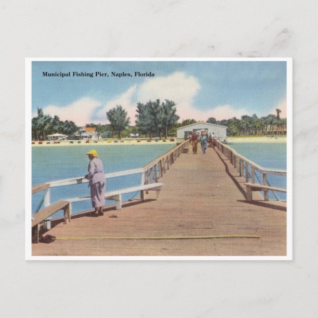 Vintage Neapel, Florida Vykort (Framsida)