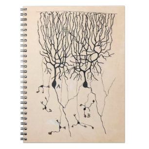 Vintage Neuro Teckning av Santiago Ramón y Cajal Anteckningsbok
