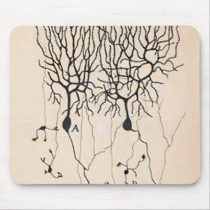 Vintage Neuro Teckning av Santiago Ramón y Cajal Musmatta