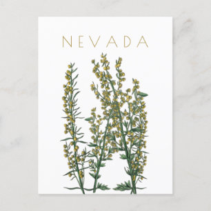 Vintage Nevada statsblomma resande i mitten av årh Vykort