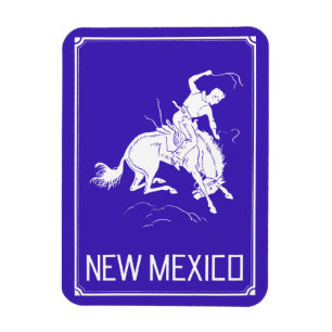 Vintage New mexico Magnet