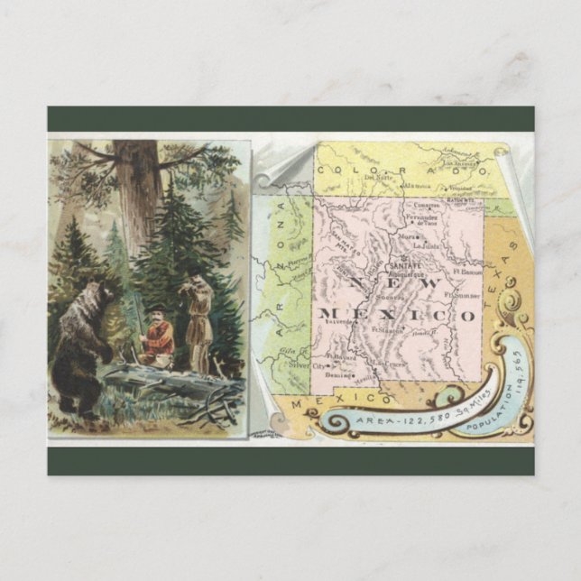 Vintage New Mexico Map Vykort (Framsida)