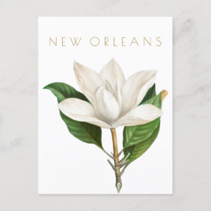 Vintage New Orleans blomma resor mid century Vykort