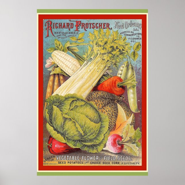 Vintage New Orleans  Seeds Poster (Framsidan)