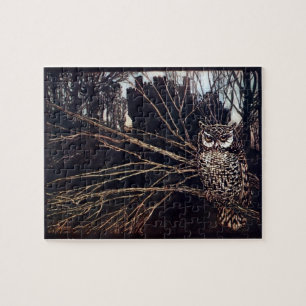 Vintage Night Owl Rackham Pussel