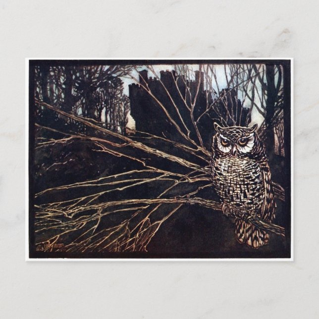 Vintage Night Owl Rackham Vykort (Framsida)