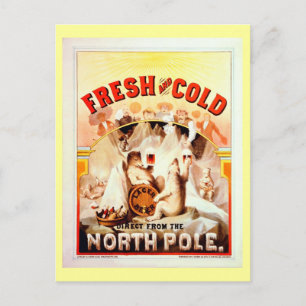 Vintage Nordpolöl, färska och Kall Vykort