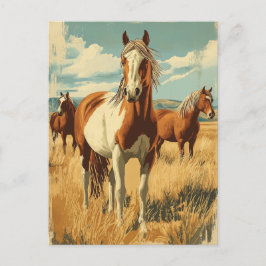 Vintage North America Wildhorses  Vykort