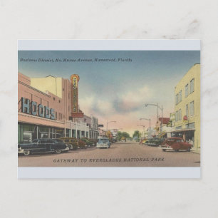 Vintage North Krome Avenue Homestead FL Postcard Vykort