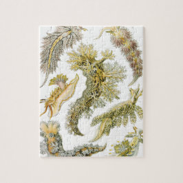 Vintage Nudibranchia, Sea Slugs av Ernst Haeckel Pussel
