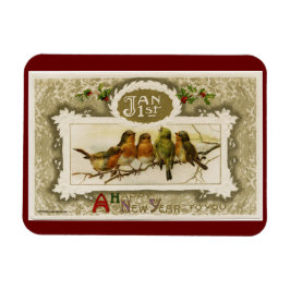 Vintage Nya fåglar Magnet