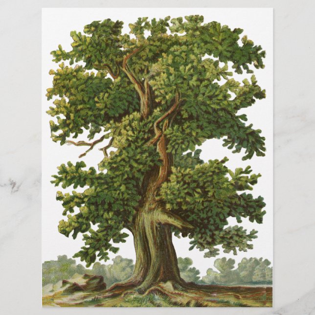 Vintage Oak Träd Anpassningsbar Flyer (Framsidan)
