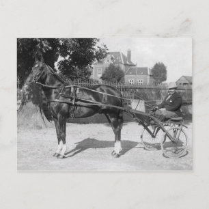 Vintage och sulkam vykort