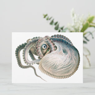 Vintage Octopus Argonaut, marina levande djur