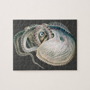 Vintage Octopus Argonaut, marina levande djur Pussel
