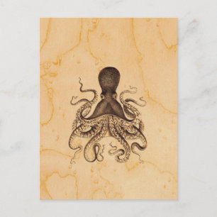Vintage Octopus Illustration på Vykort
