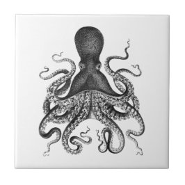 Vintage Octopus Kakelplatta