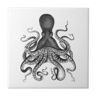 Vintage Octopus Kakelplatta