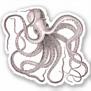 Vintage Octopus Klistermärken