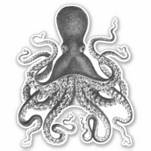 Vintage Octopus Klistermärken