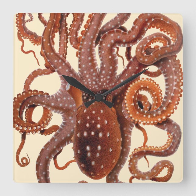 Vintage Octopus Macropus, marina vattenlevande dju Fyrkantig Klocka (Framsida)