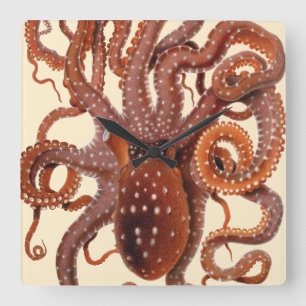 Vintage Octopus Macropus, marina vattenlevande dju Fyrkantig Klocka