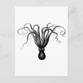 VINTAGE OCTOPUS POSTCARD VYKORT