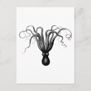 VINTAGE OCTOPUS POSTCARD VYKORT