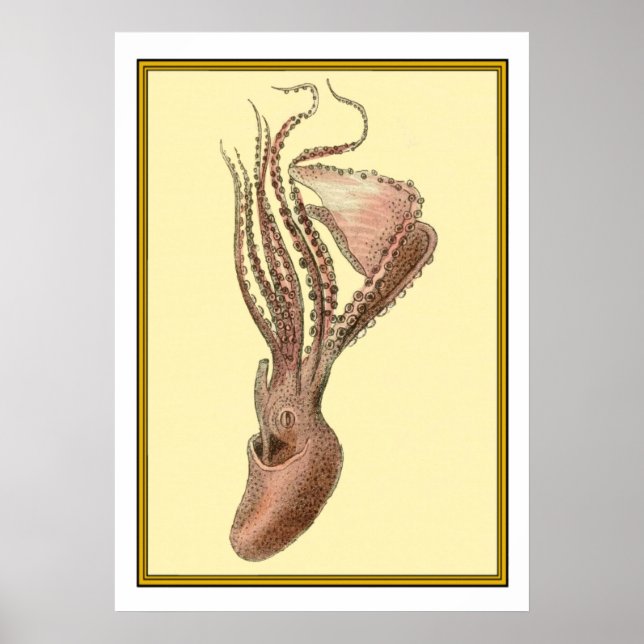 Vintage Octopus Poster (Framsidan)