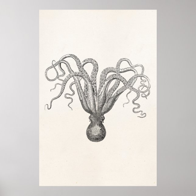 Vintage Octopus Poulpe Eight Armed Cuttle Fish Poster (Framsidan)