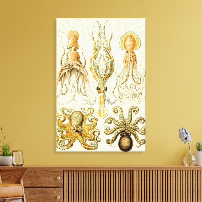 Vintage Octopus Squid Gamochonia av Ernst Haeckel Canvastryck (Insitu (Vardagsrum))