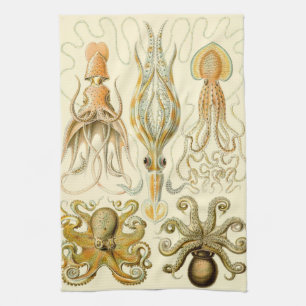 Vintage Octopus Squid Gamochonia av Ernst Haeckel Kökshandduk