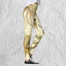 Vintage Octopus Squid Gamochonia av Ernst Haeckel Leggings