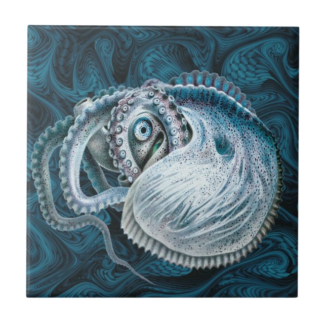 Vintage Octopus Squid Nautilus Argonaut Kakelplatta (Framsidan)