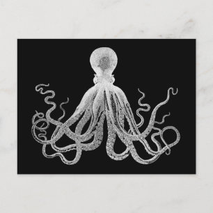 Vintage Octopus Vykort