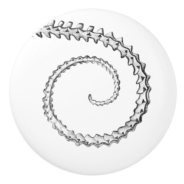 Vintage ödla skelett knopp (Framsidan)