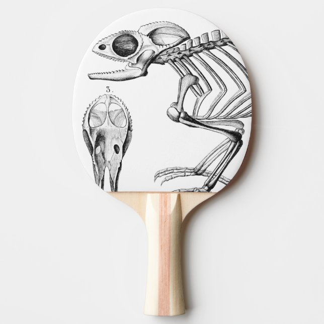 Vintage ödla skelett pingisracket (Framsidan)