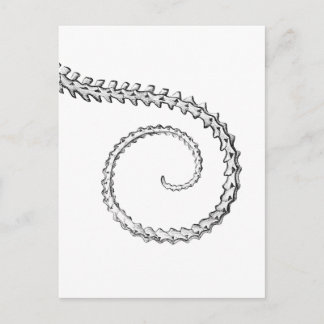 Vintage ödla skelett vykort