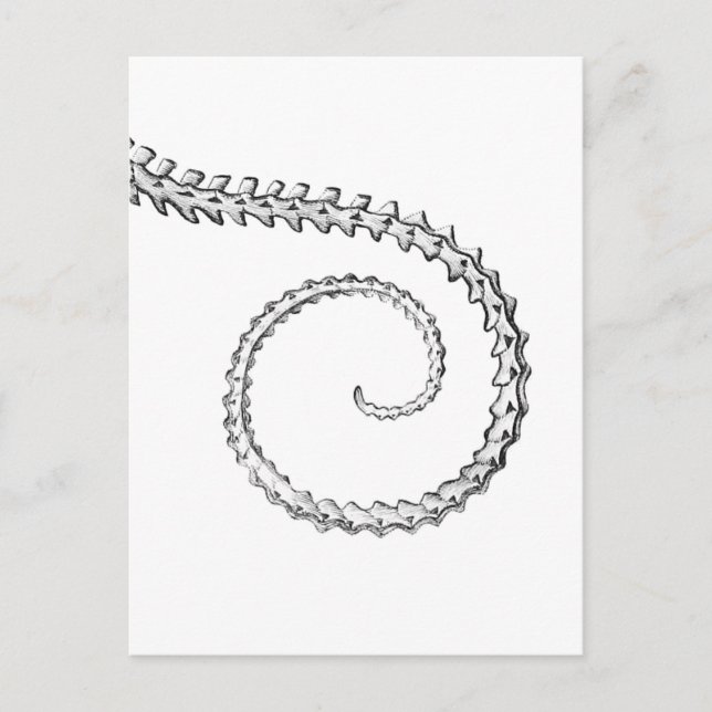 Vintage ödla skelett vykort (Framsida)